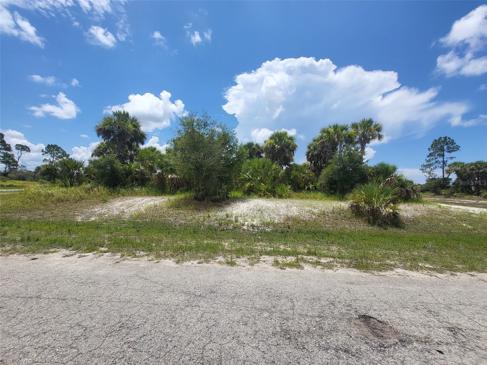 Fielders Road North Port FL 34288 N6144898 image1