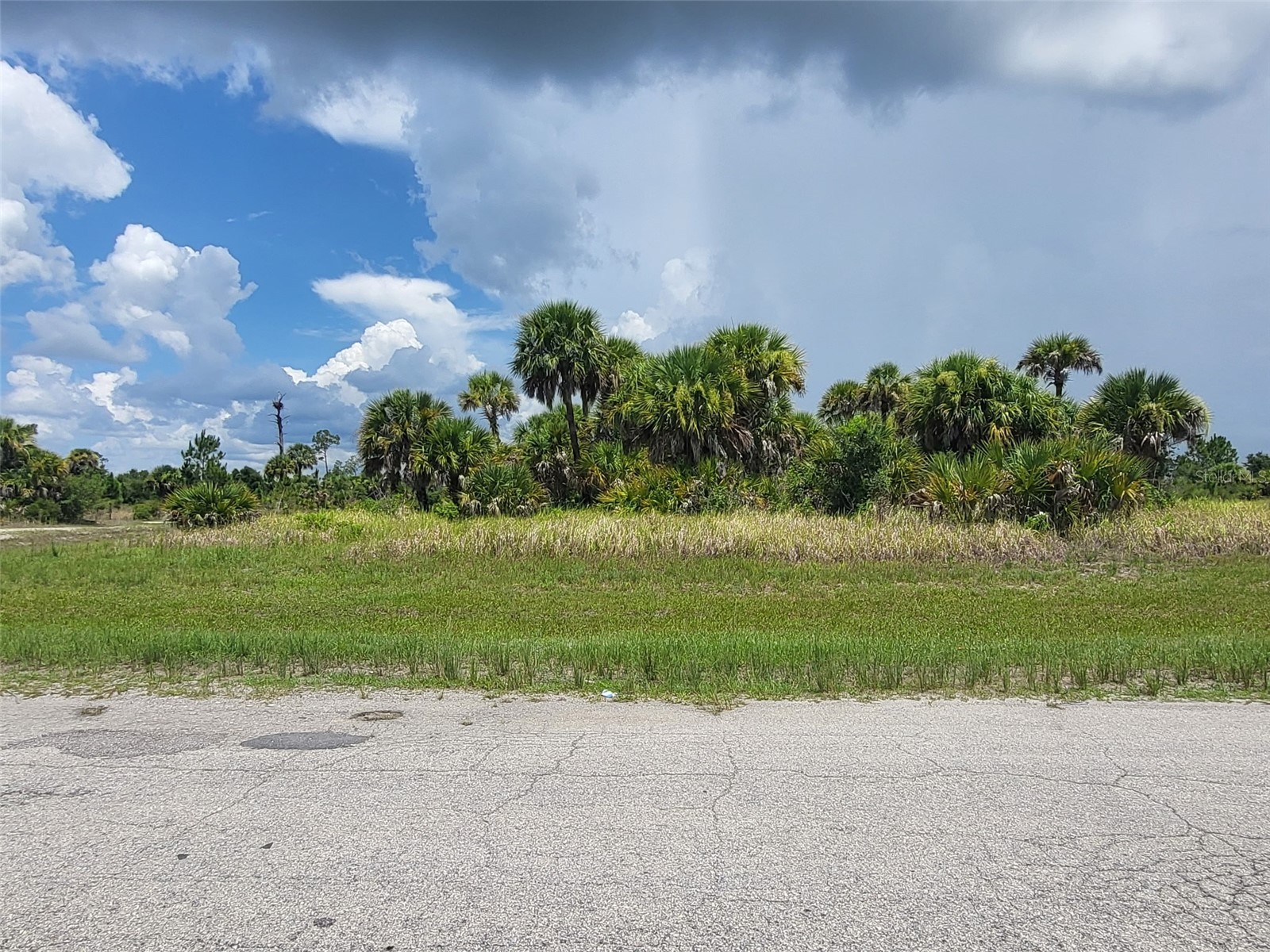 Fielders Road North Port FL 34288 N6144898 image3