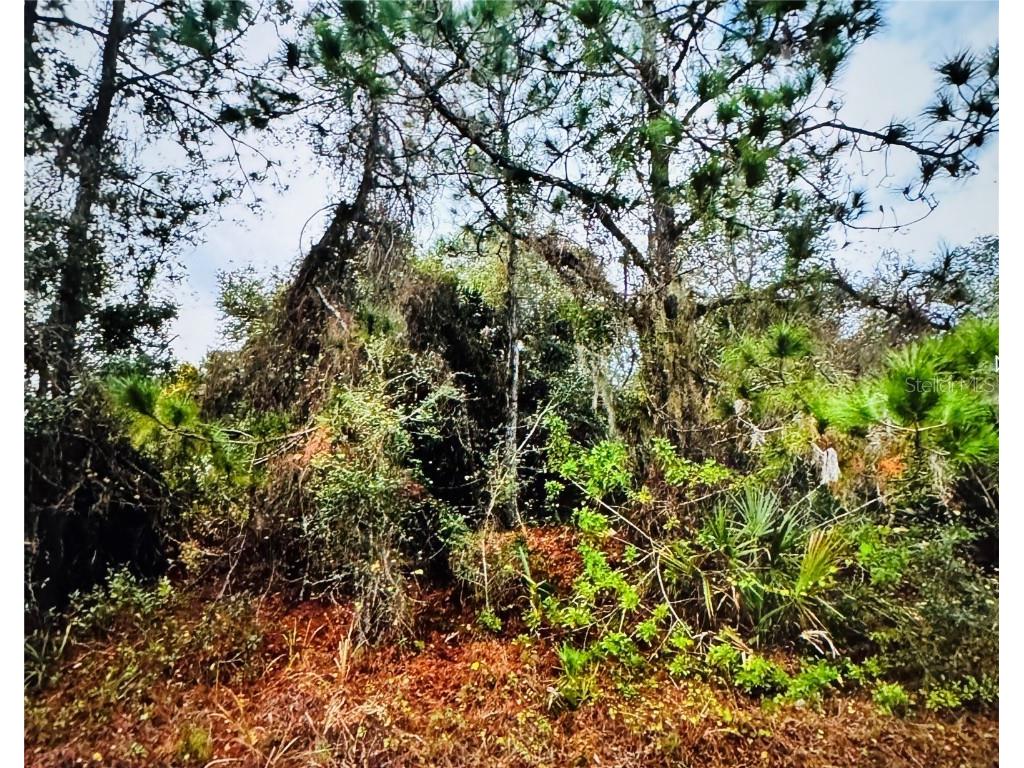 Fielding Street North Port FL 34288 TB8326646 image1