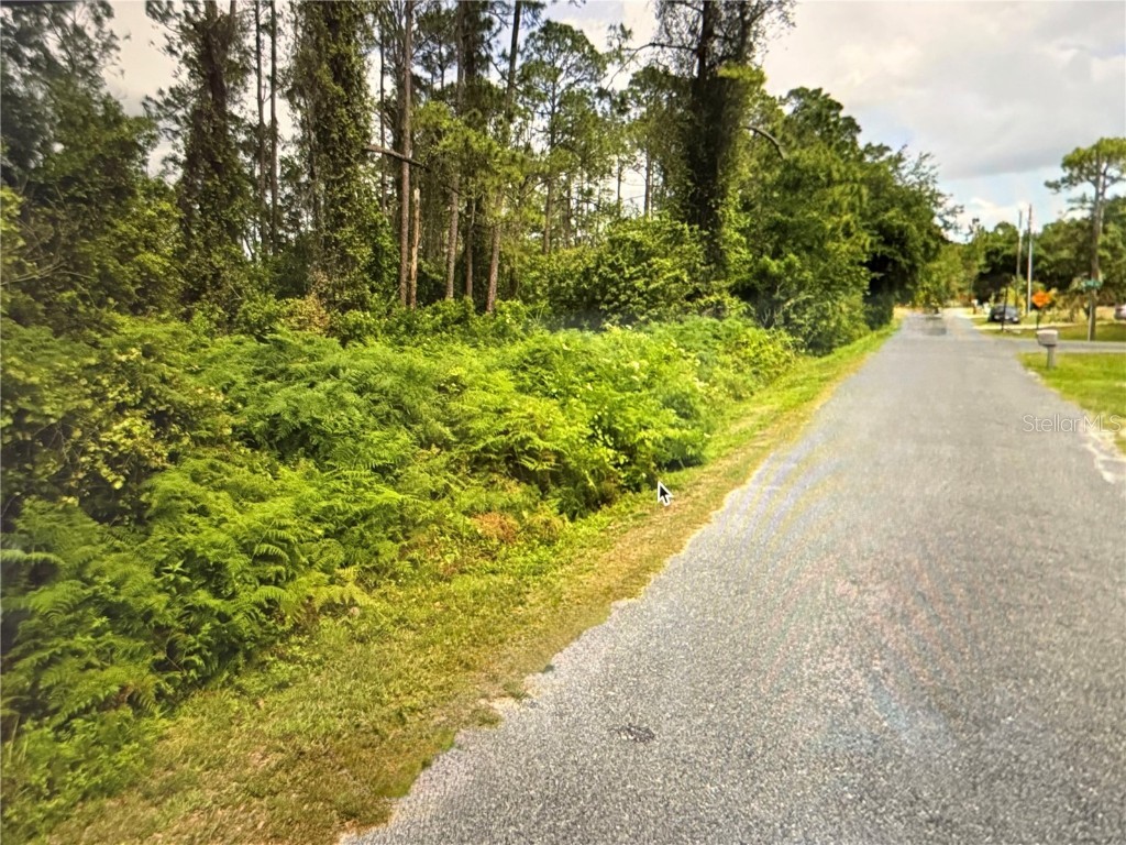 Fig Leaf Street Saint Cloud FL 34769 S5134093 image1