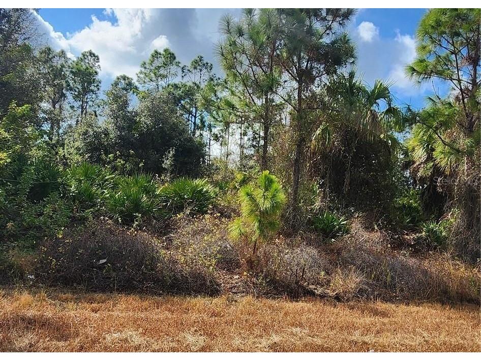 Filbert Street North Port FL 34288 C7519622 image1