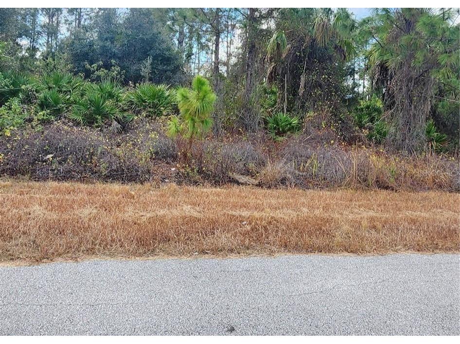 Filbert Street North Port FL 34288 C7519622 image5