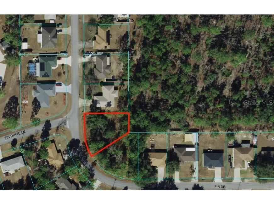 Fir Drive Ocala FL 34472 U8218960 image1