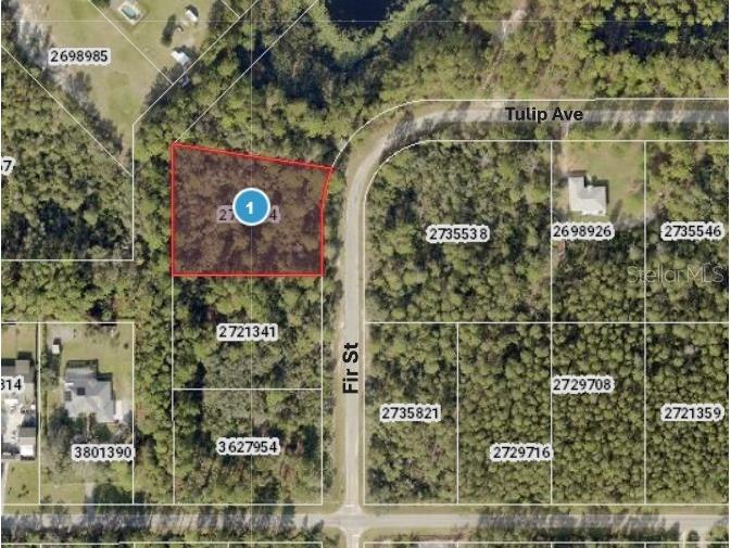 Fir Street Eustis FL 32736 - LAKE NORRIS ST. JOHNS RIVER G5105627 image1