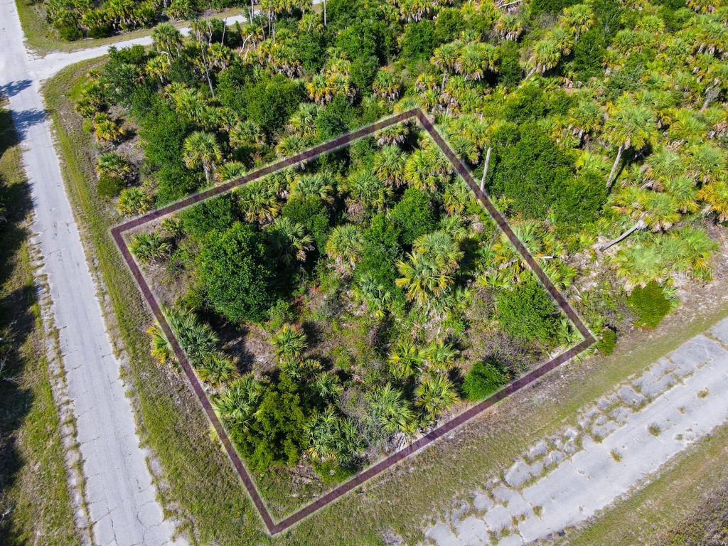 Firebird Road North Port FL 34288 C7526509 image1