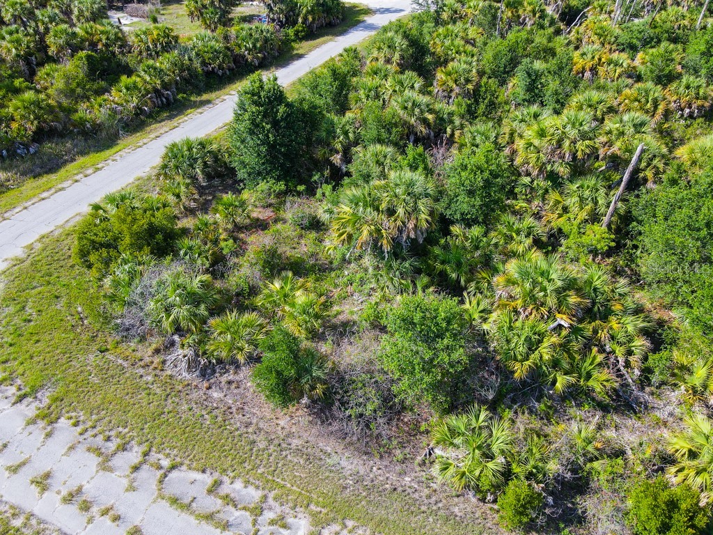 Firebird Road North Port FL 34288 C7526509 image10