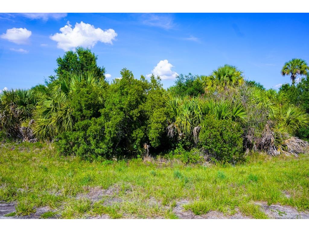Firebird Road North Port FL 34288 C7526509 image17