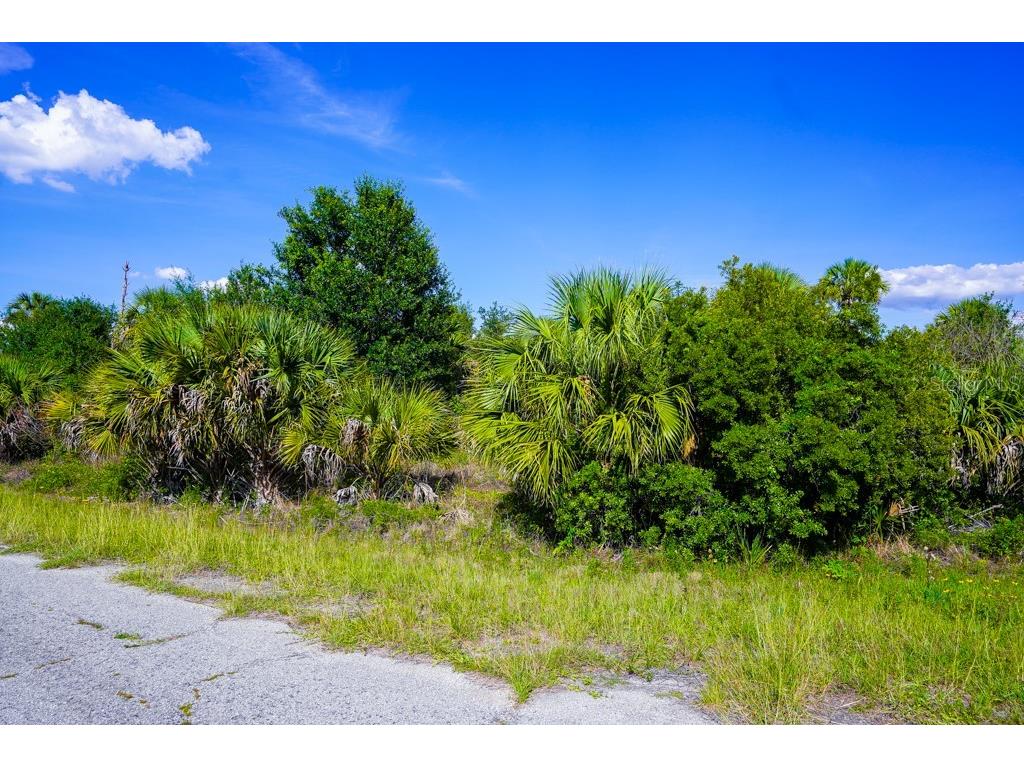 Firebird Road North Port FL 34288 C7526509 image19