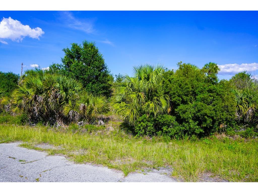 Firebird Road North Port FL 34288 C7526509 image20