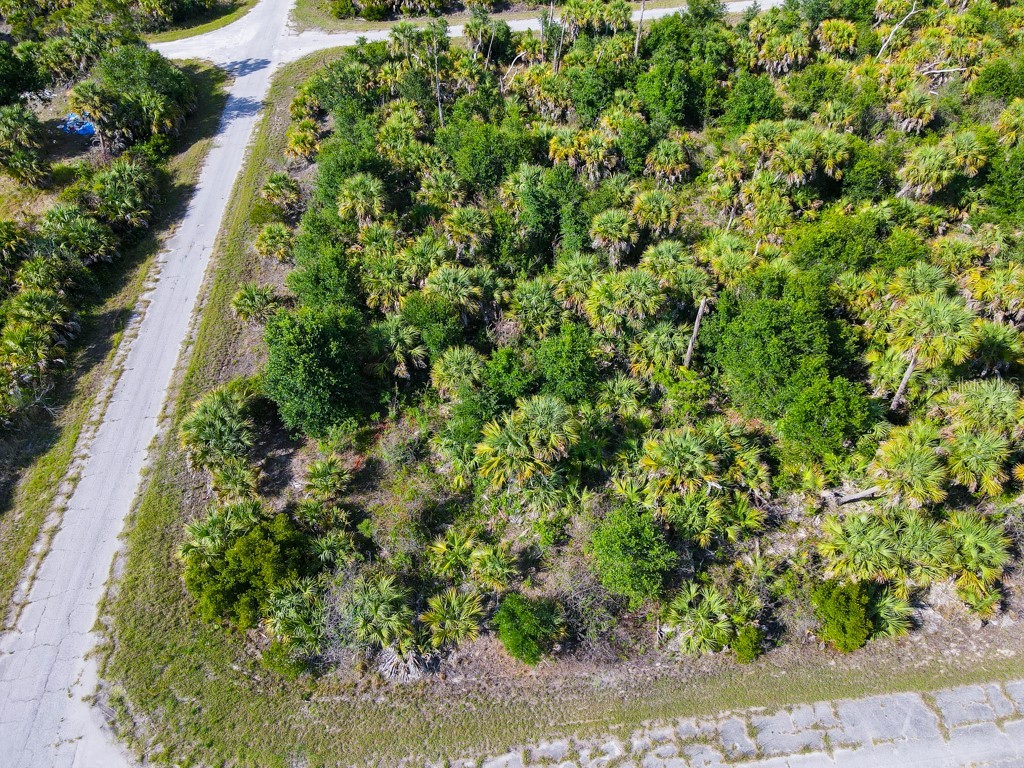 Firebird Road North Port FL 34288 C7526509 image4