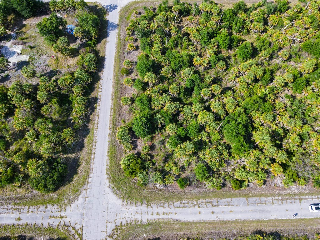 Firebird Road North Port FL 34288 C7526509 image7