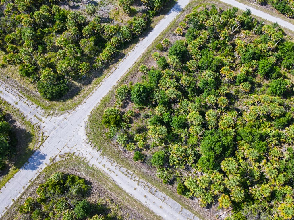 Firebird Road North Port FL 34288 C7526509 image8