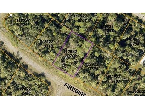 Firebird Road North Port FL 34288 O6300324 image4