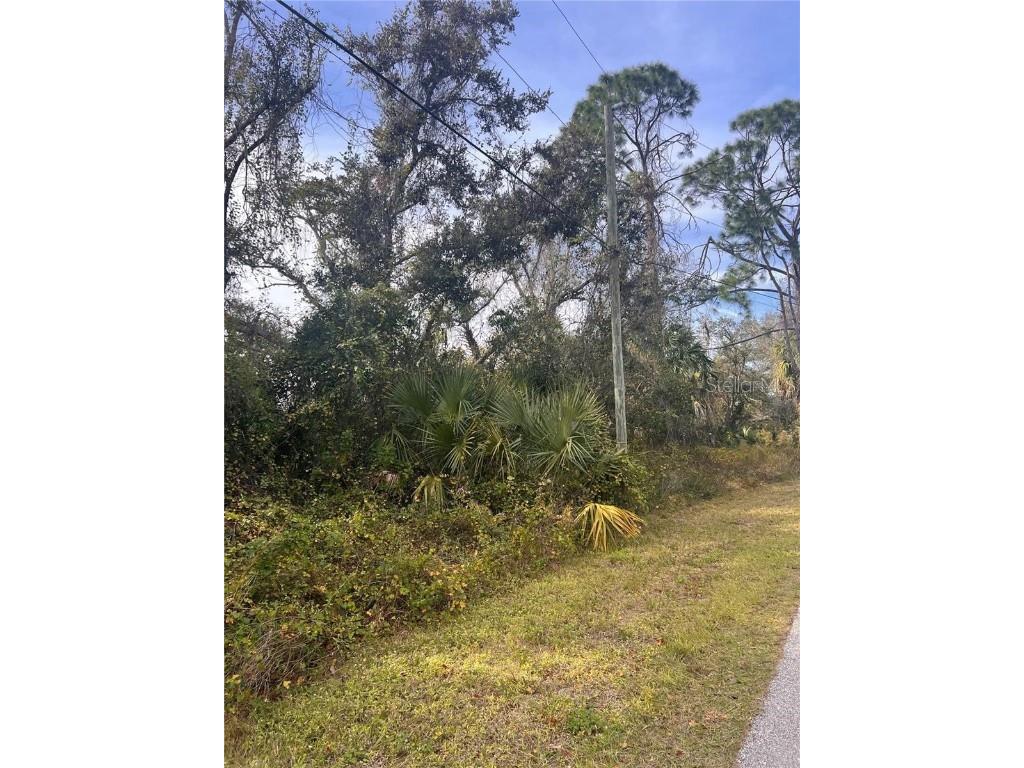 Firebrand Road North Port FL 34288 A4673420 image2