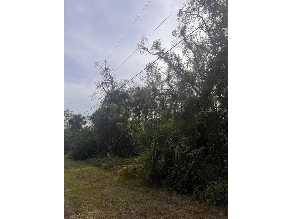 Firebrand Road North Port FL 34288 A4673420 image4