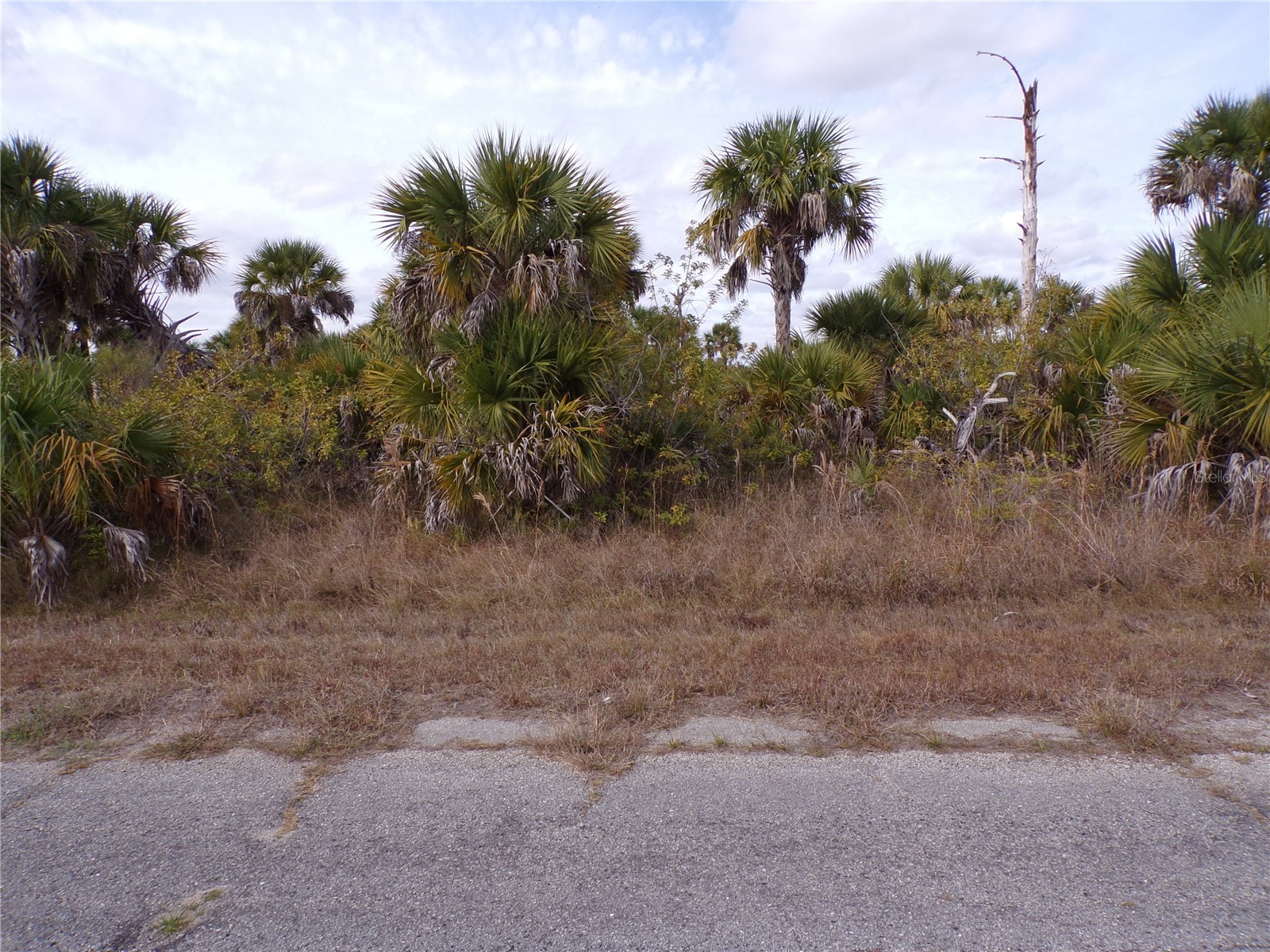 Fireglow Circle North Port FL 34288 C7520364 image5