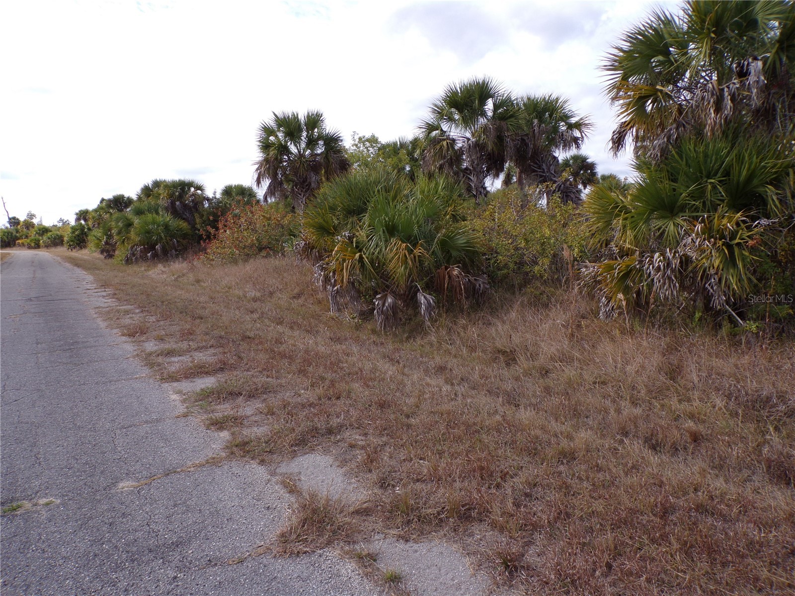 Fireglow Circle North Port FL 34288 C7520364 image7