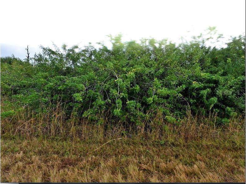 Fireglow Circle North Port FL 34288 O6188730 image2