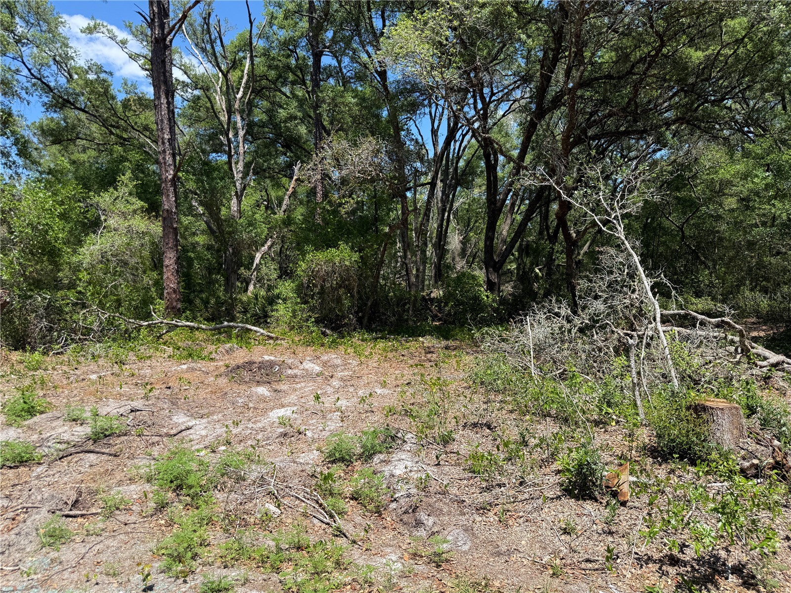 Fischer Lane Court Ocklawaha FL 32179 OM723040 image1