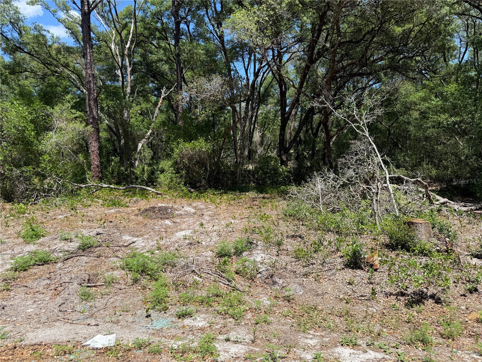Fischer Lane Court Ocklawaha FL 32179 OM723040 image2