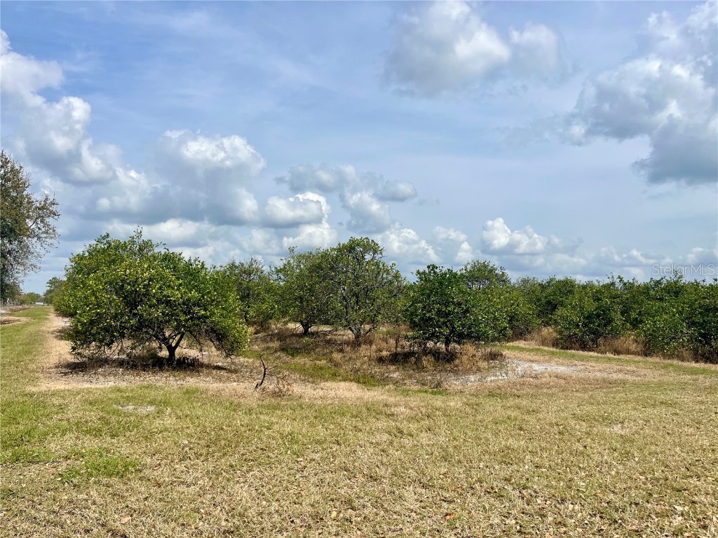 Fish Branch Road Zolfo Springs FL 33890 L4943936 image1