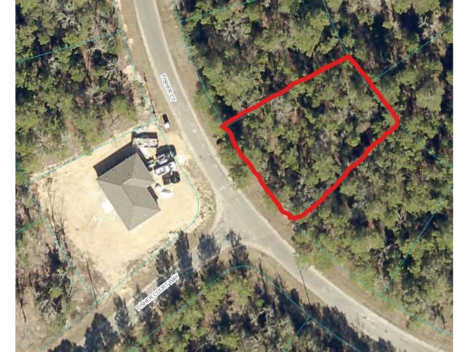 Fisher Court Ocklawaha FL 32179 OM658616 image1