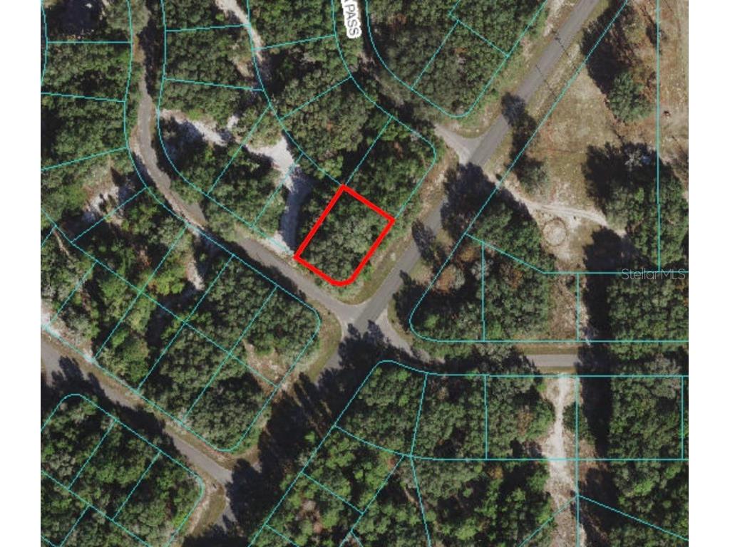 Fisher Lane Court Ocklawaha FL 32179 OM626750 image1