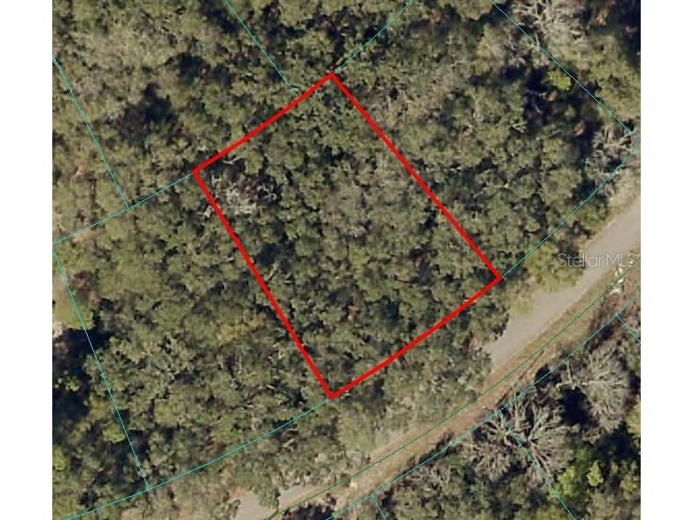 Fisher Lane Ct Ocklawaha FL 32179 OM683956 image1