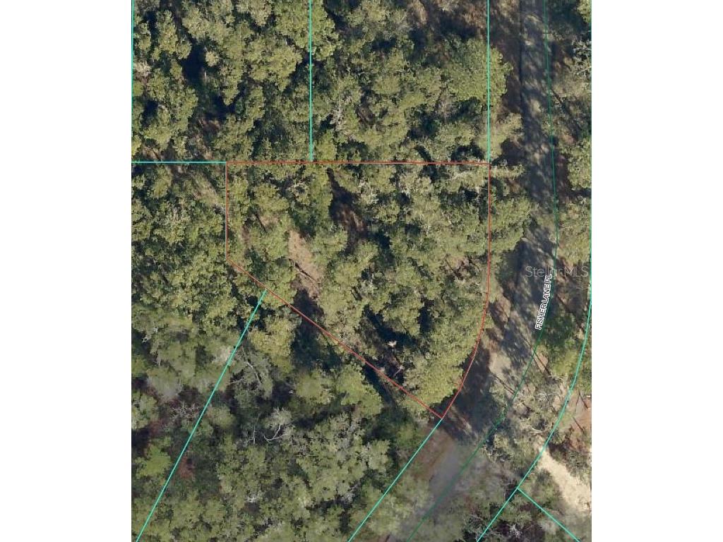 Fisher Lane Place Ocklawaha FL 32179 J992115 image1