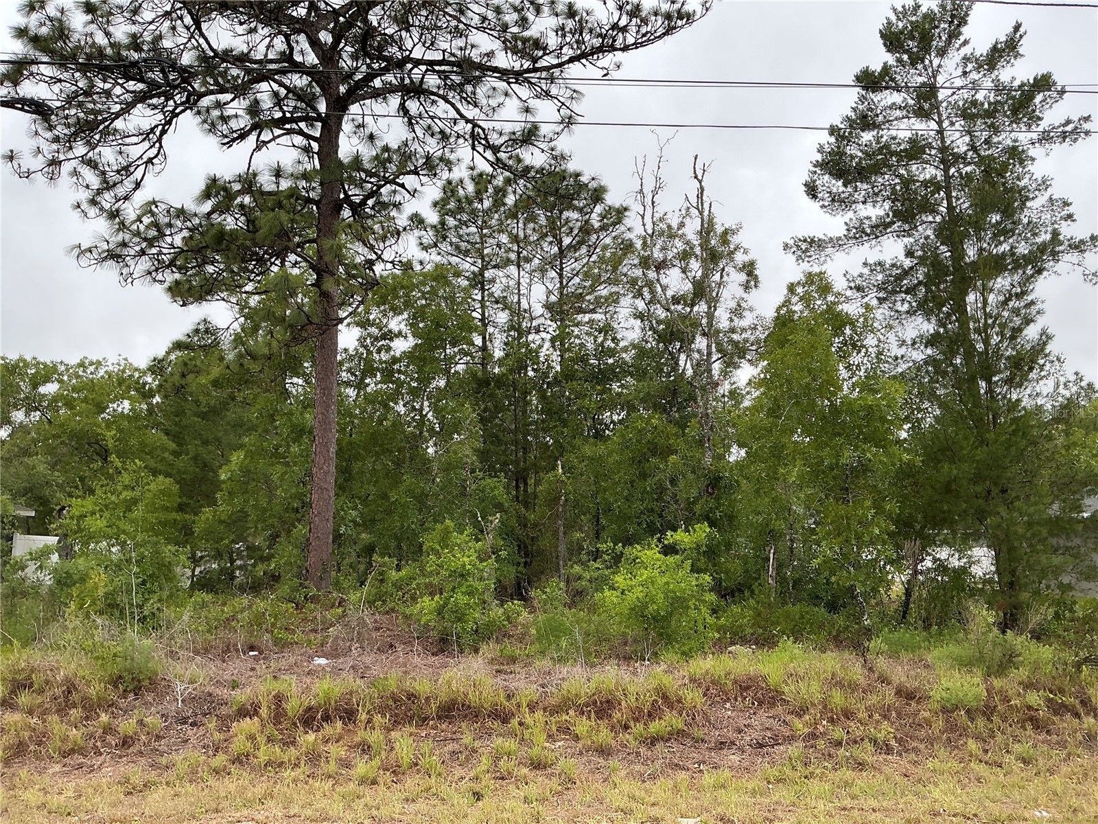 Fisher Lane Terrace Ocklawaha FL 32179 OM726005 image1
