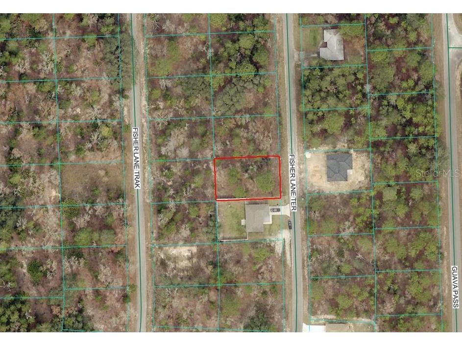 Fisher Lane Terrace Ocklawaha FL 32179 OM726005 image2