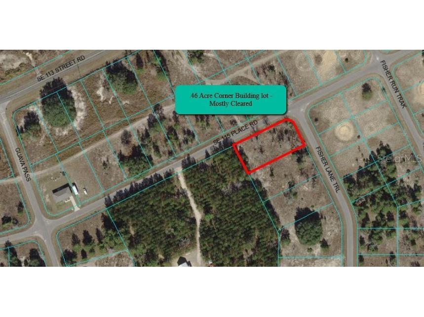Fisher Lane Trail Ocklawaha FL 32179 OM669277 image1