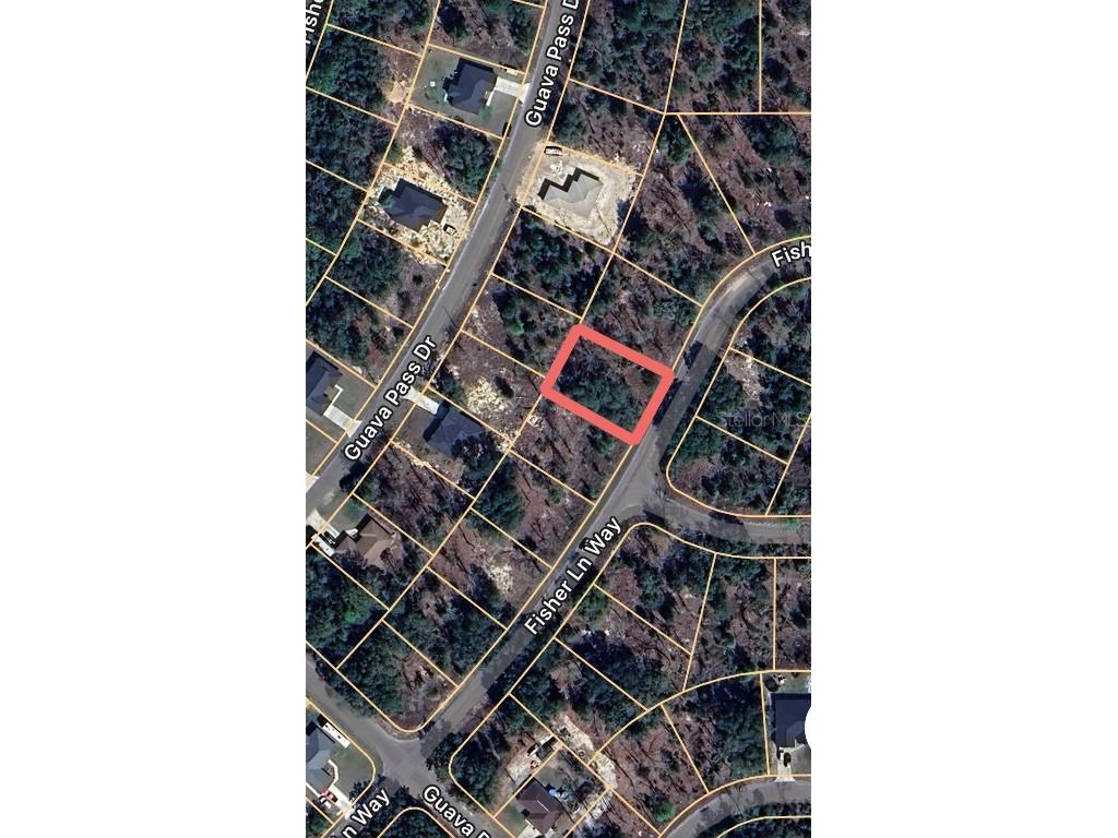 Fisher Lane Way #22 Ocklawaha FL 32179 OM707401 image1