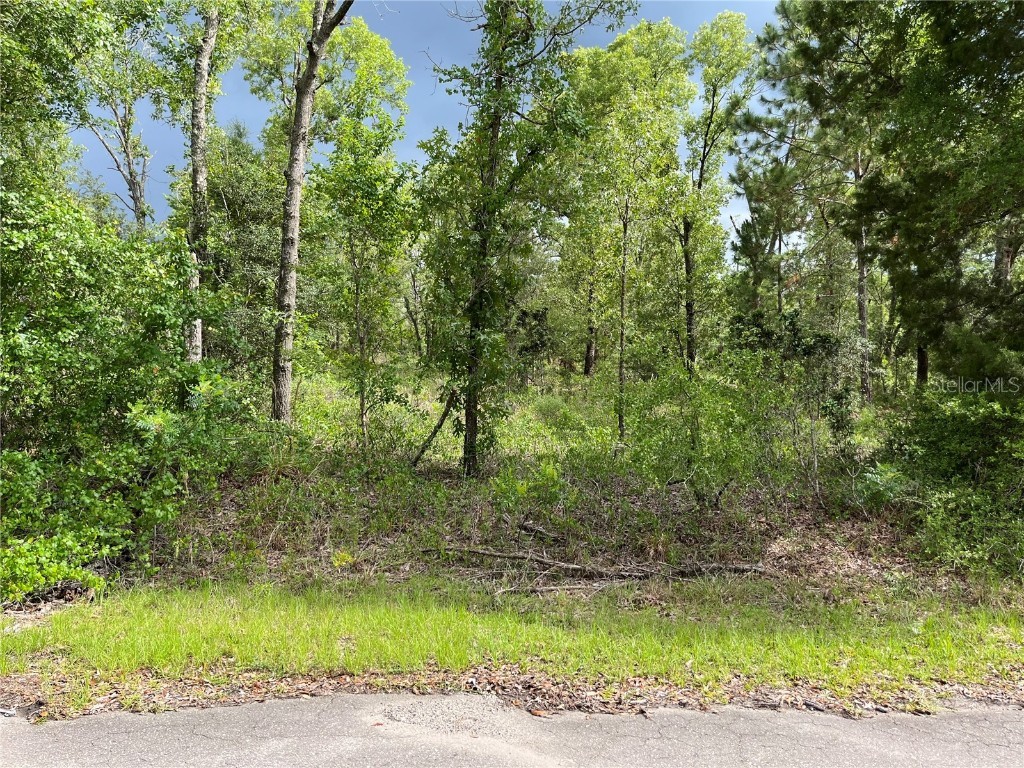 Fisher Lane Way Ocklawaha FL 32179 OM658380 image1
