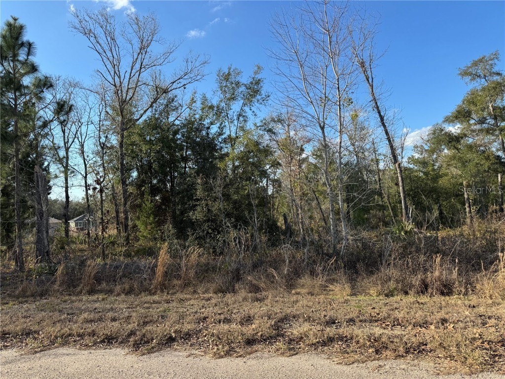 Fisher Lane Way Ocklawaha FL 32179 OM694784 image1