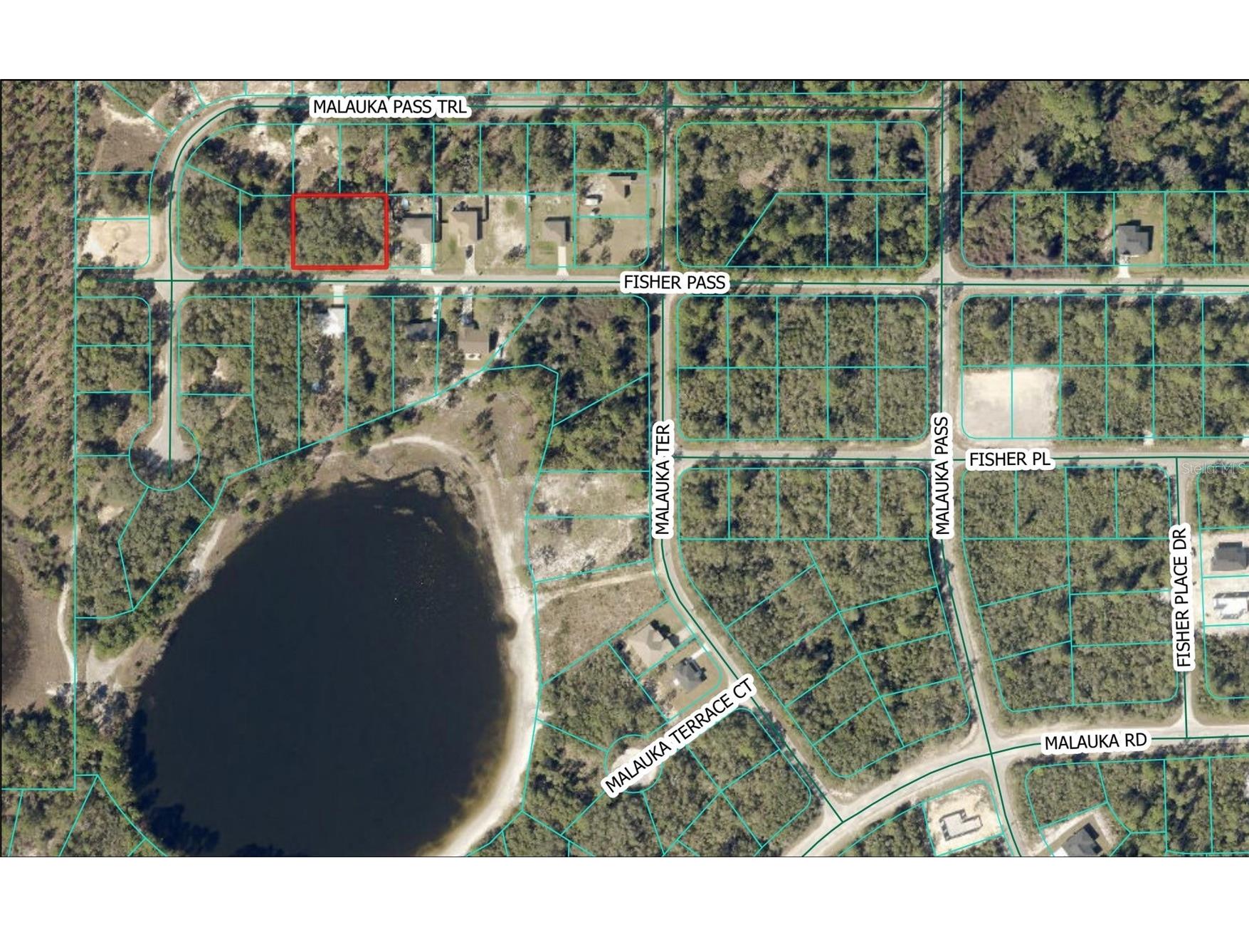 Fisher Pass Ocklawaha FL 32179 C7520958 image1
