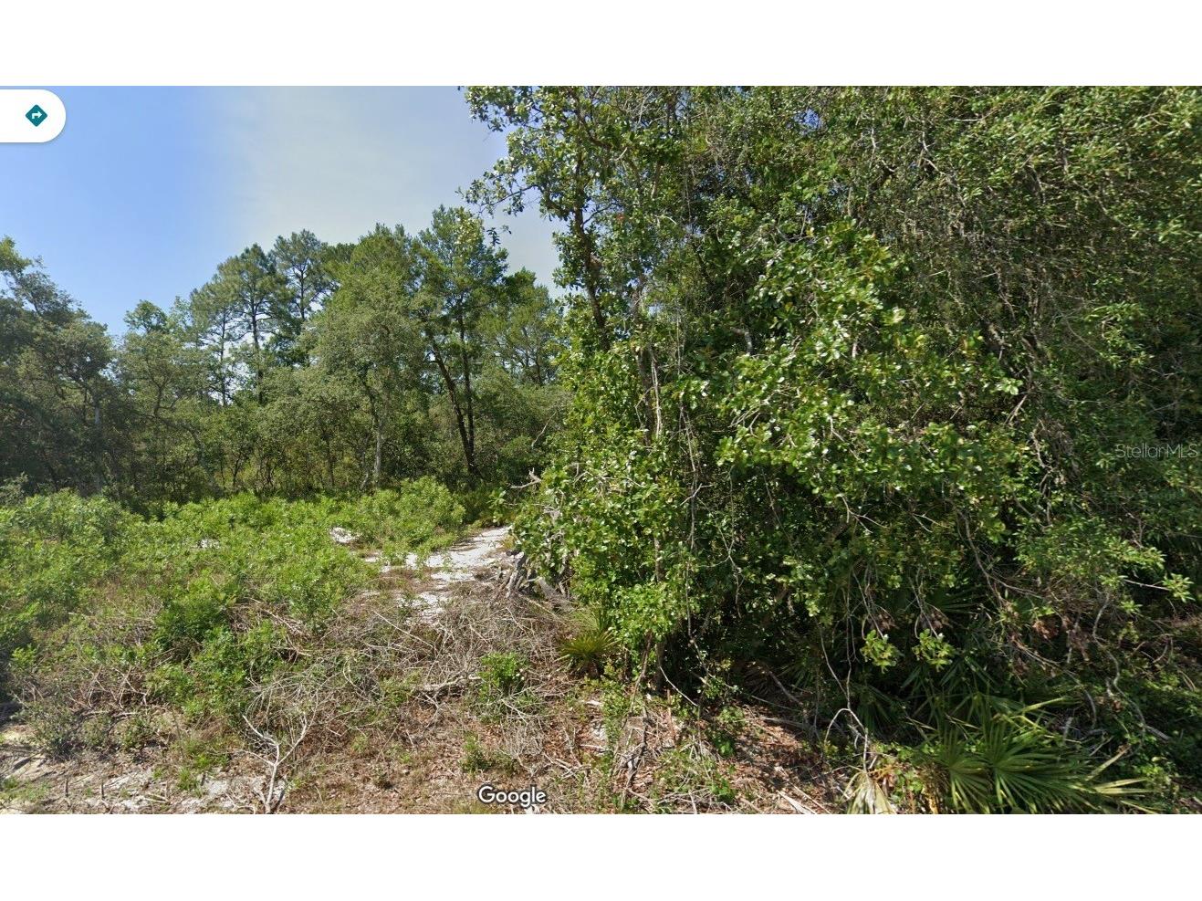 Fisher Pass Ocklawaha FL 32179 O6382185 image1