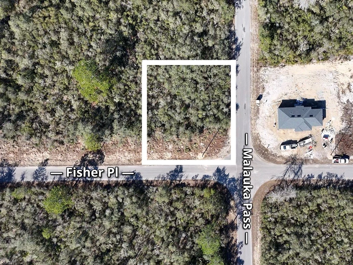 Fisher Pass Ocklawaha FL 32179 S5143169 image4