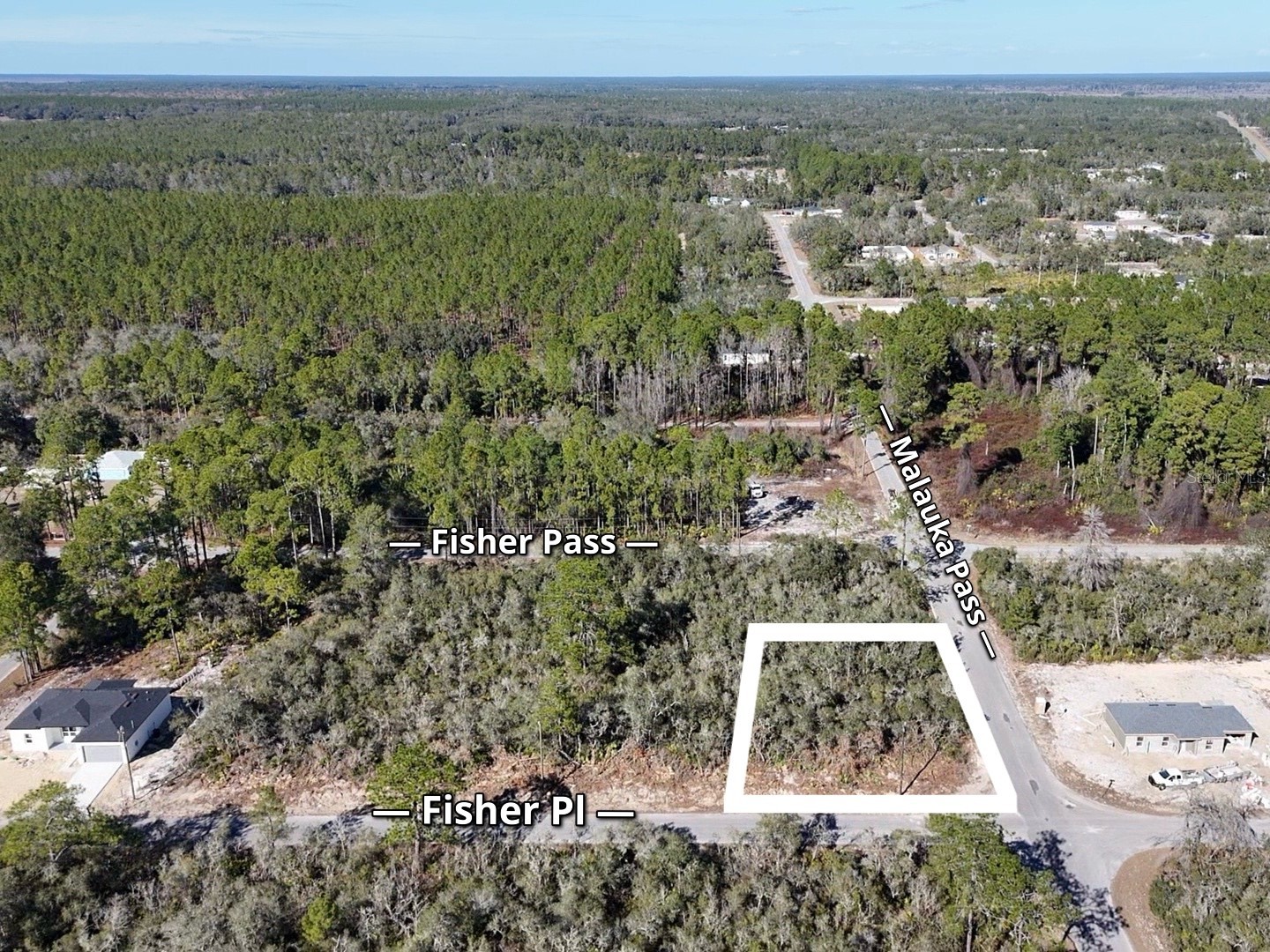 Fisher Pass Ocklawaha FL 32179 S5143169 image5