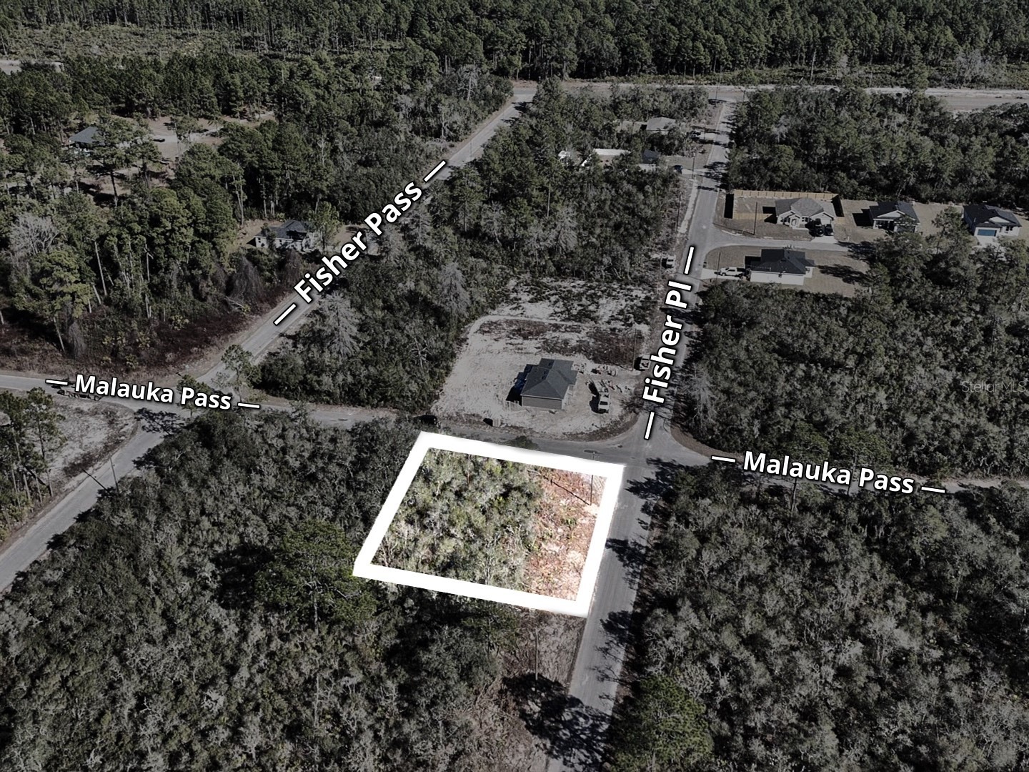 Fisher Pass Ocklawaha FL 32179 S5143169 image6