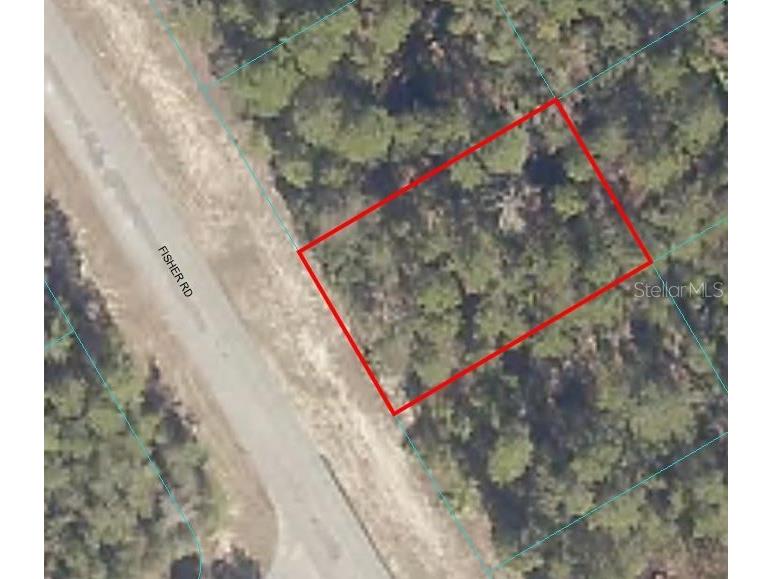 Fisher Rd Ocklawaha FL 32179 OM662107 image1