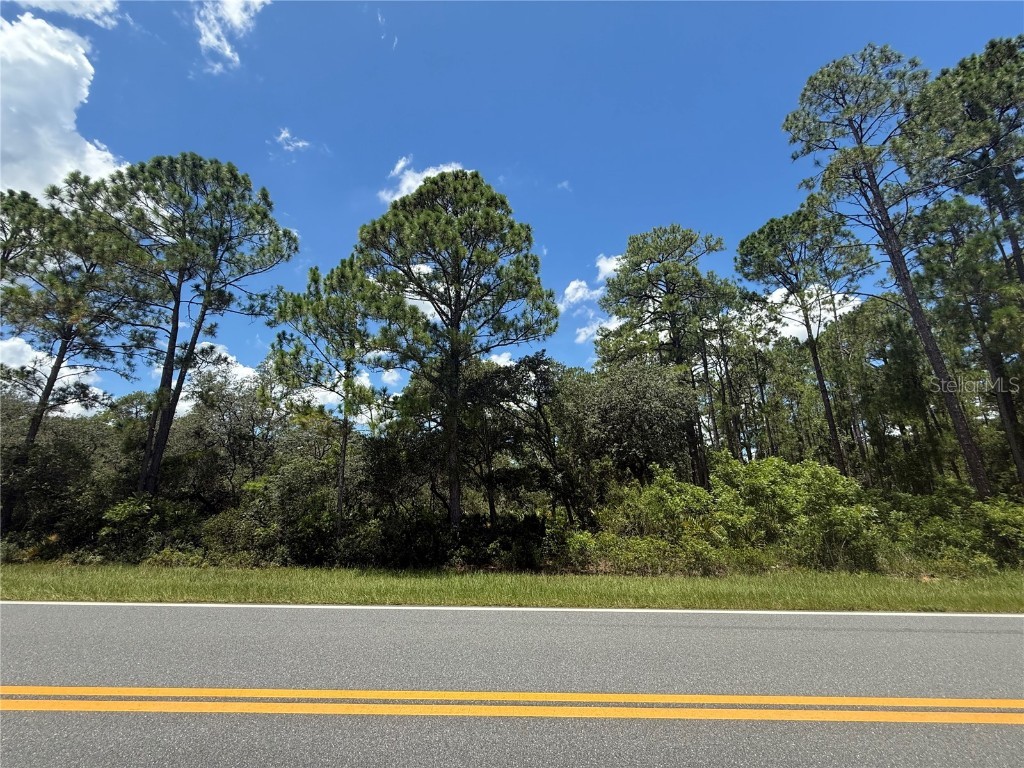 Fisher Rd, Ocklawaha, FL, 32179 | MLS: OM706302 | Edina Realty