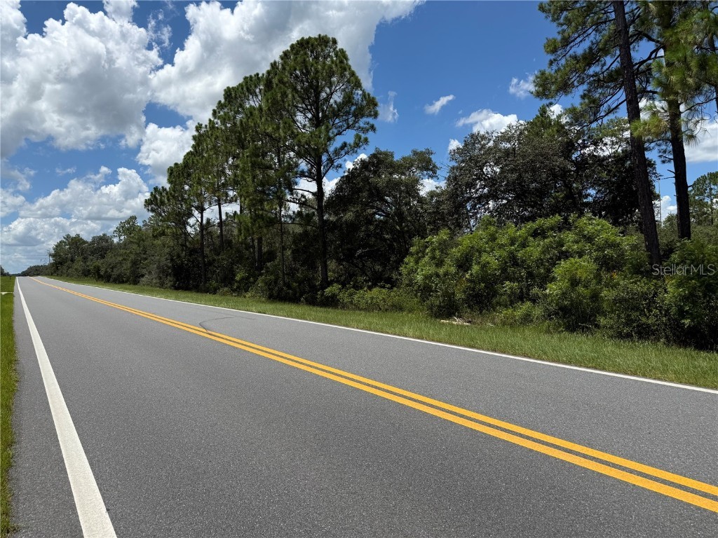 Fisher Rd Ocklawaha FL 32179 OM706302 image3