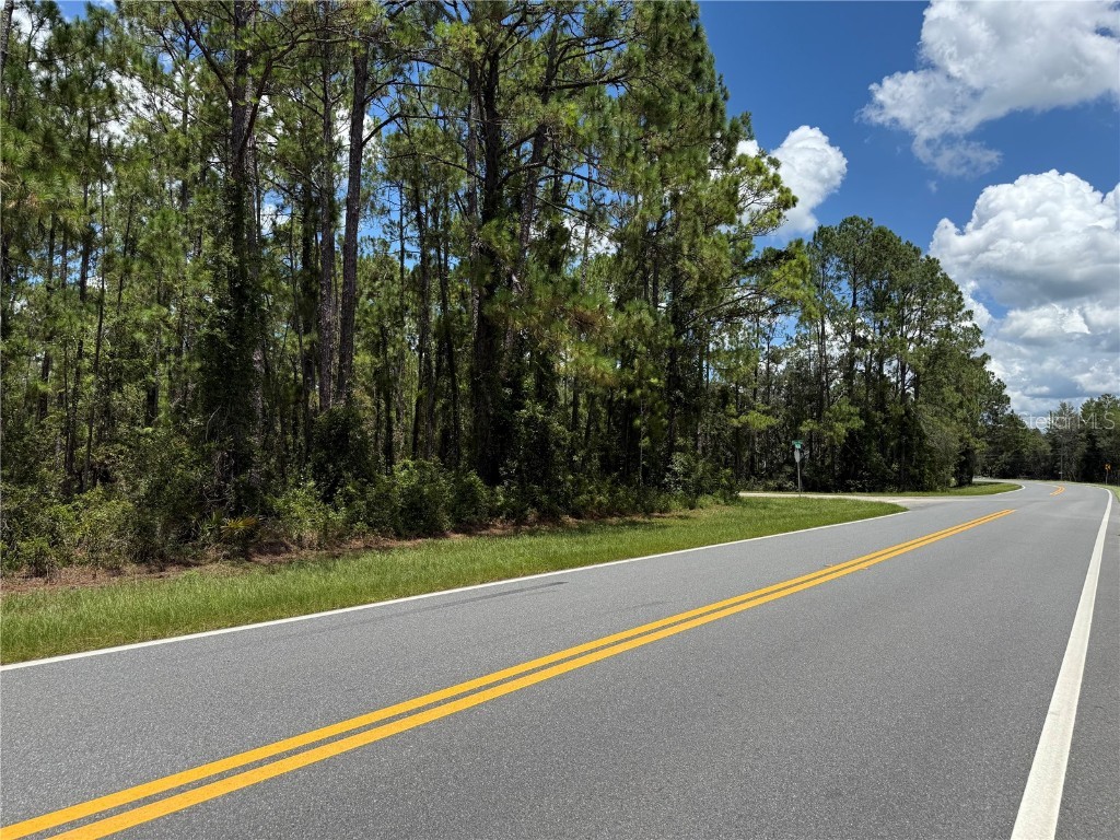 Fisher Rd Ocklawaha FL 32179 OM706302 image4