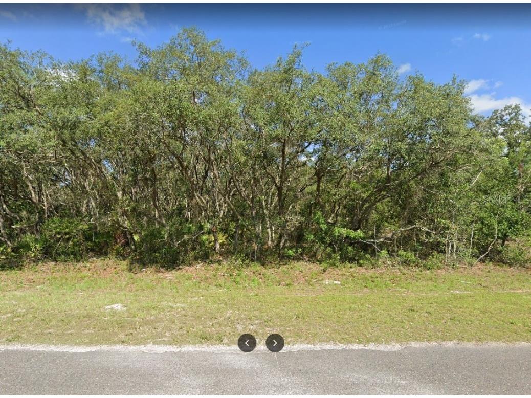 Fisher Road Ocklawaha FL 32179 OM664540 image1