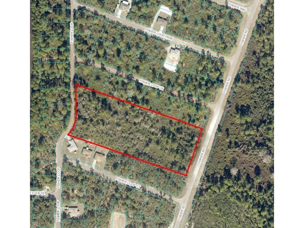 Fisher Road Ocklawaha FL 32179 OM646242 image1
