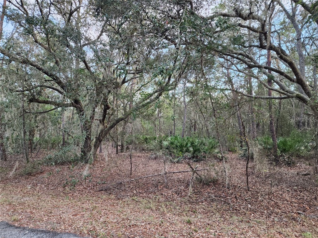 Fisher Run Course Course Ocklawaha FL 32179 OM670673 image1