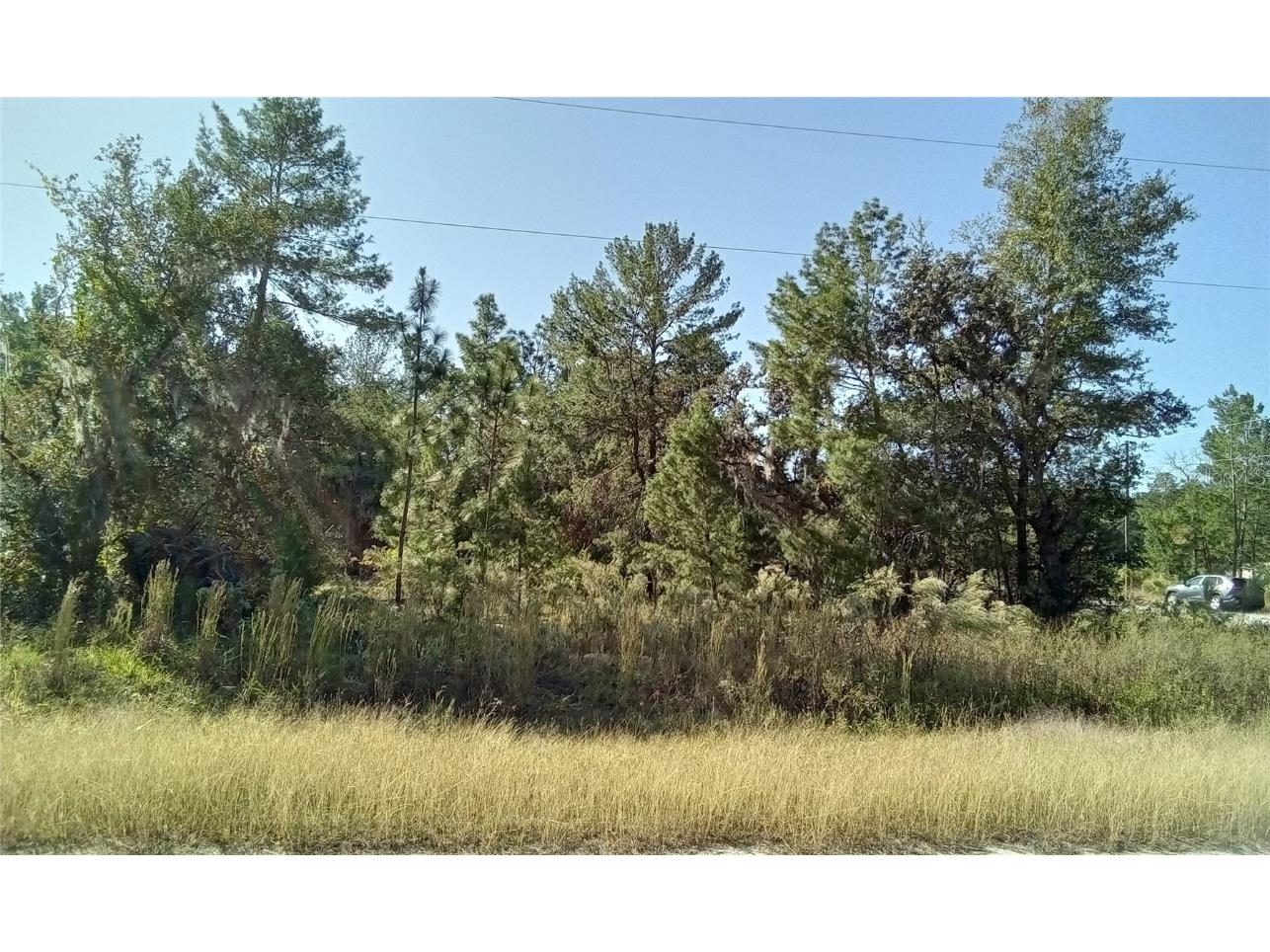 Fisher Run Ocklawaha FL 32179 OM673392 image1