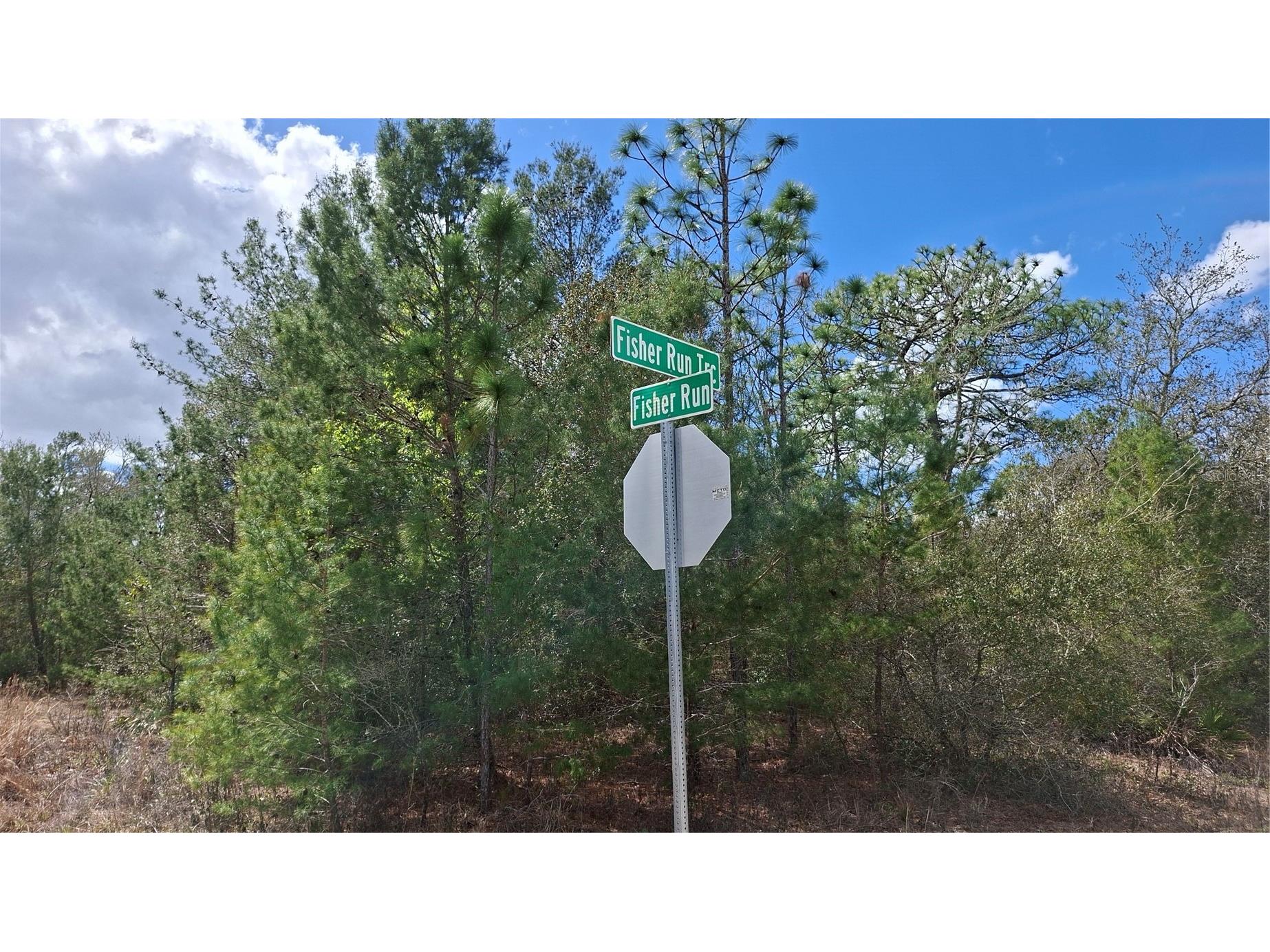 Fisher Run Ocklawaha FL 32183 GC538241 image1
