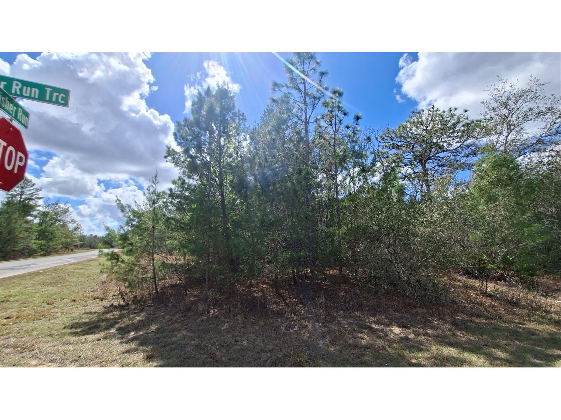 Fisher Run Ocklawaha FL 32183 GC538241 image11